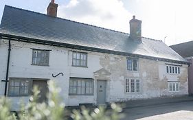 Seven Abbey Lane